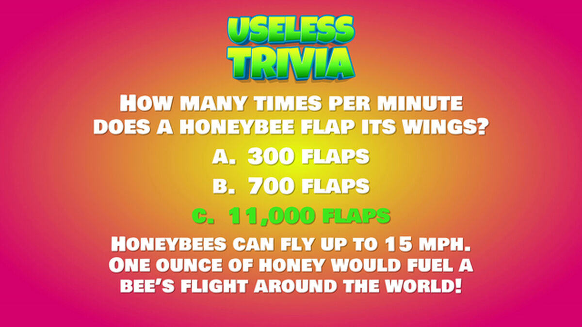 Useless Trivia Round Four image number null